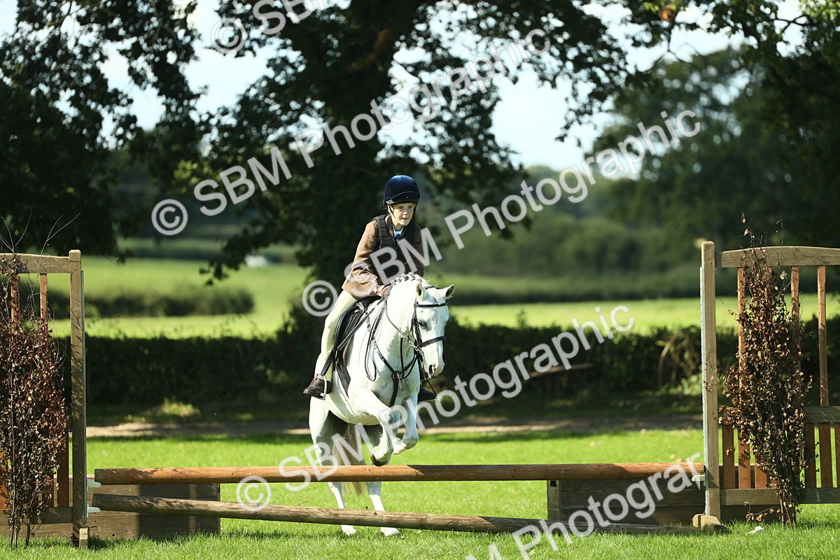 SBM_39201 - S29 - Novice & Newcomers Working Hunter Pony