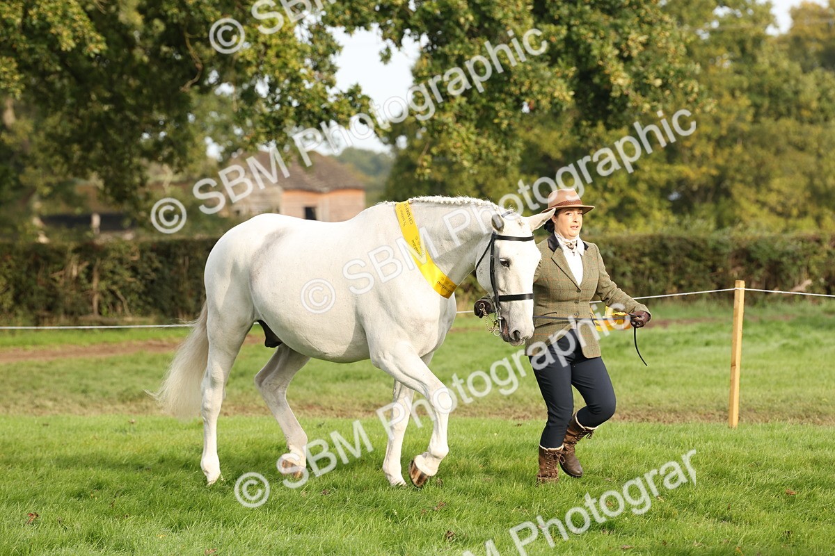 SBM_54724 - S53 - Hunter In Hand