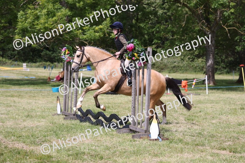 20260614-1783 - Class 21 - Novice Working Hunter Pony