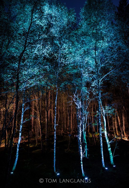 The Enchanted Forest - Events