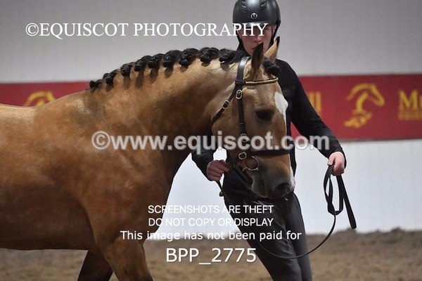 BPP_2775 - LOOSE JUMPING / SPSS