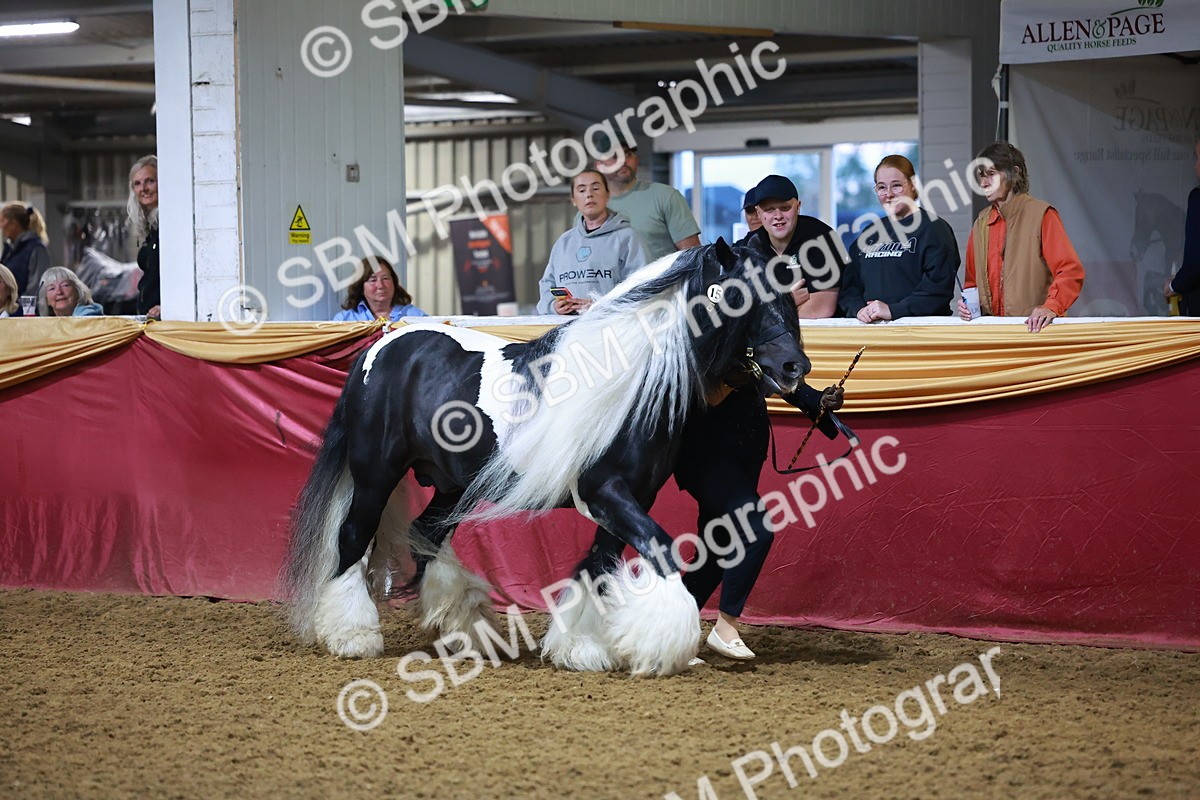 SBM_14894 - Class L - Coloured Champ