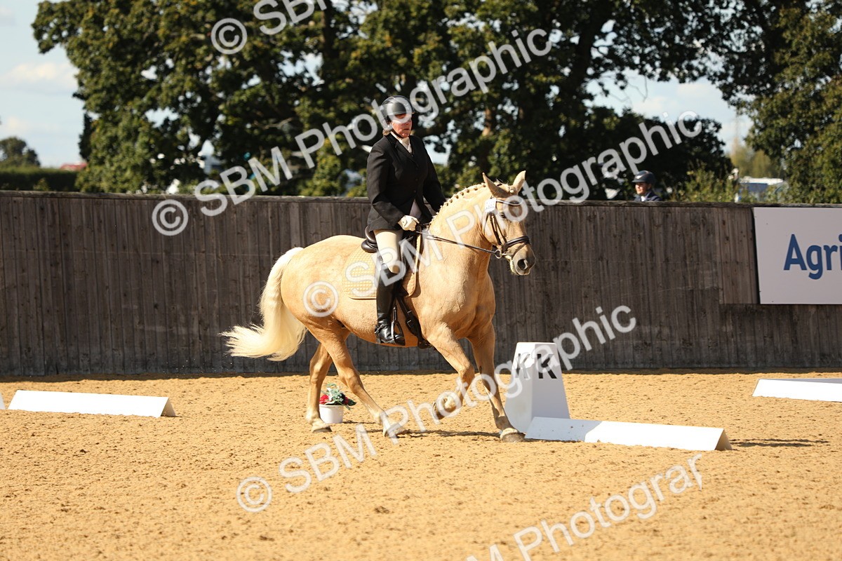 SBM_24562 - D17 - Grand Tour Championship - Novice 27