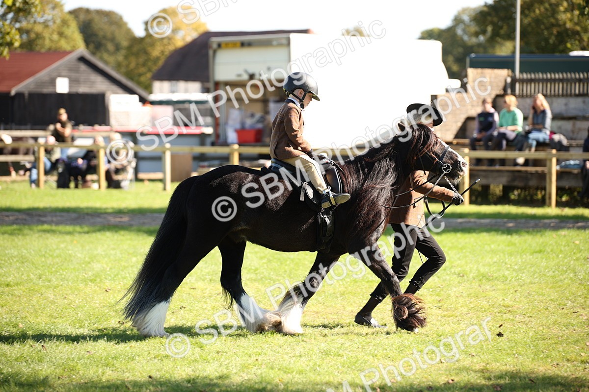 SBM_38983 - S11 - Best Ridden Horse & Pony