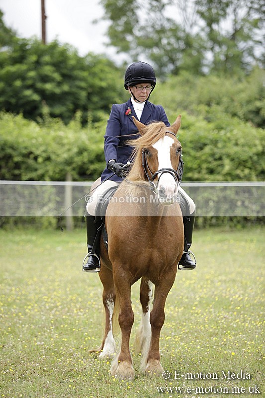 BVR160717-1557 - Ring 1 BVRC Show 16/07/17