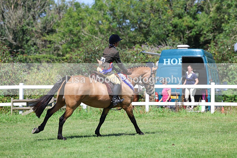 3E7A9357 - Working Hunter Championship