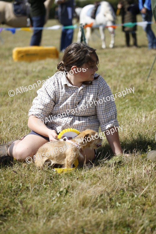 20250831-3714 - Dog Show