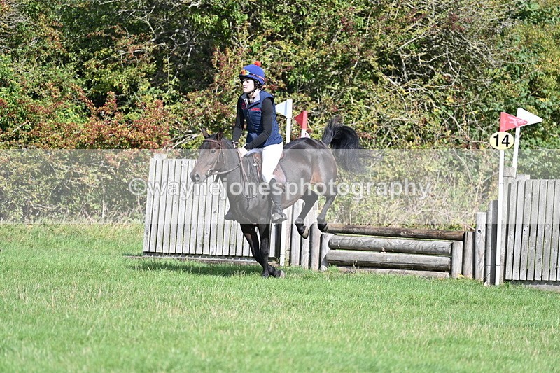 WJ7_8494 - 60cm Pairs