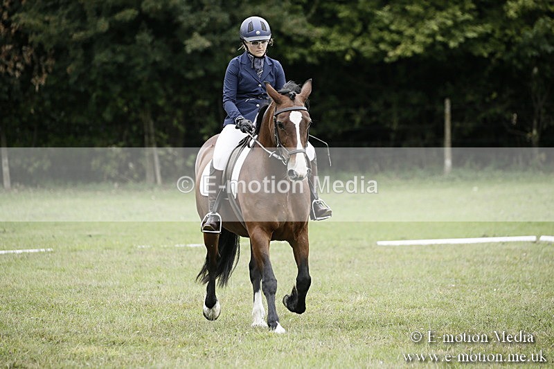 BVR080918 253 - BVRC Novice Dressage & CR 08/09/18