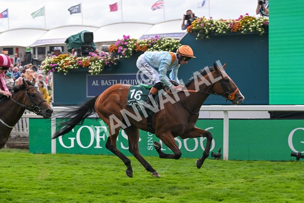 210825-Race 2-Song Of The Clyde-3994 - Race 2 2.25pm Harry's Half Million By Goffs