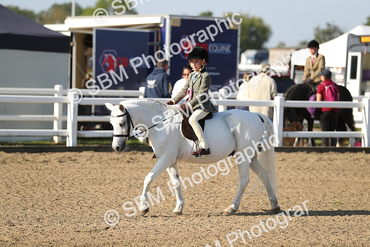 SBM_00505 - Class 41 Best Turned Out Ridden