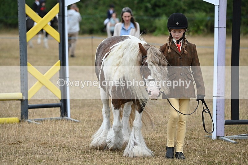 WJ6_8040 - Class 10 Coloured in Hand