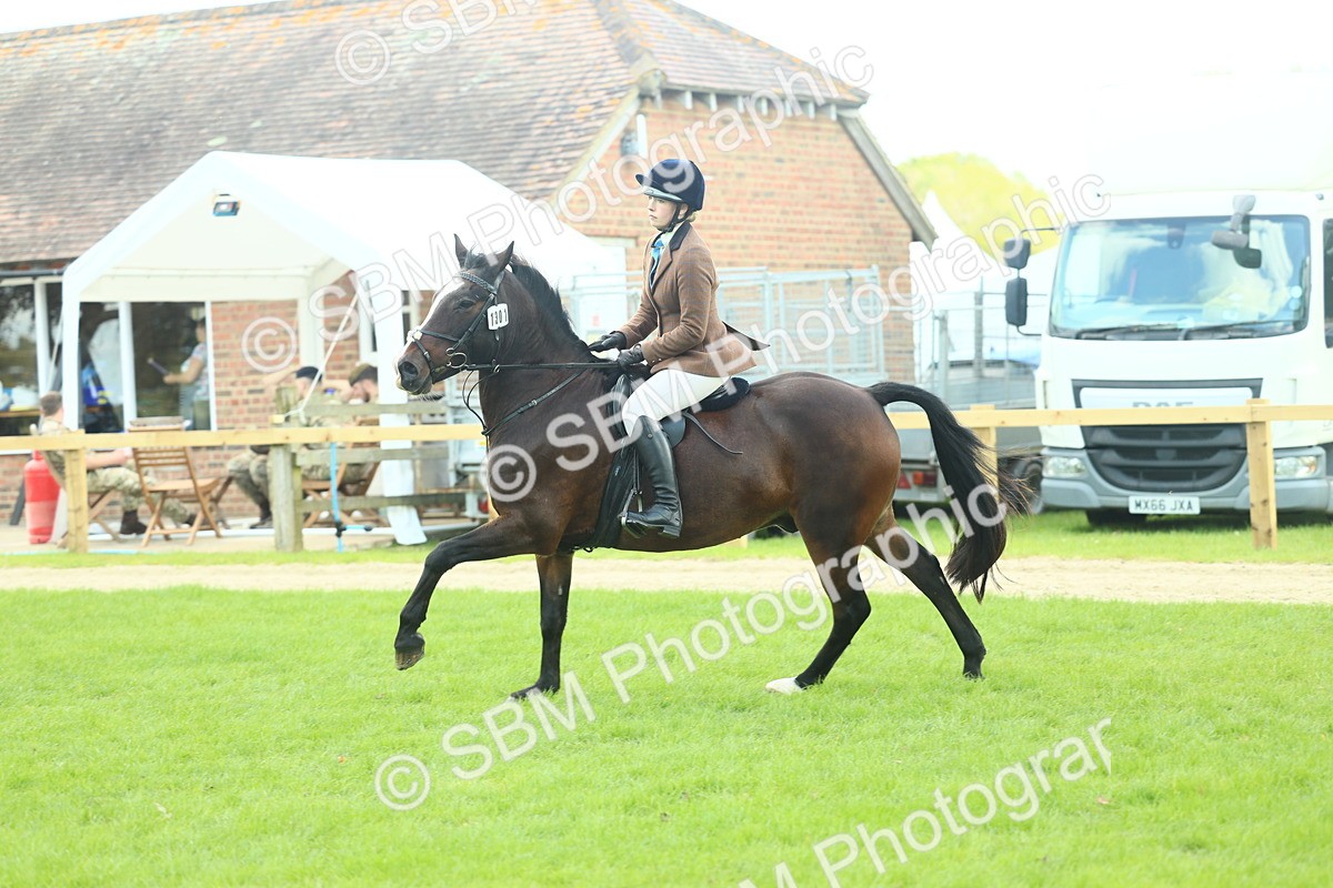 SBM_43015 - S30 - M&M Working hunter Pony