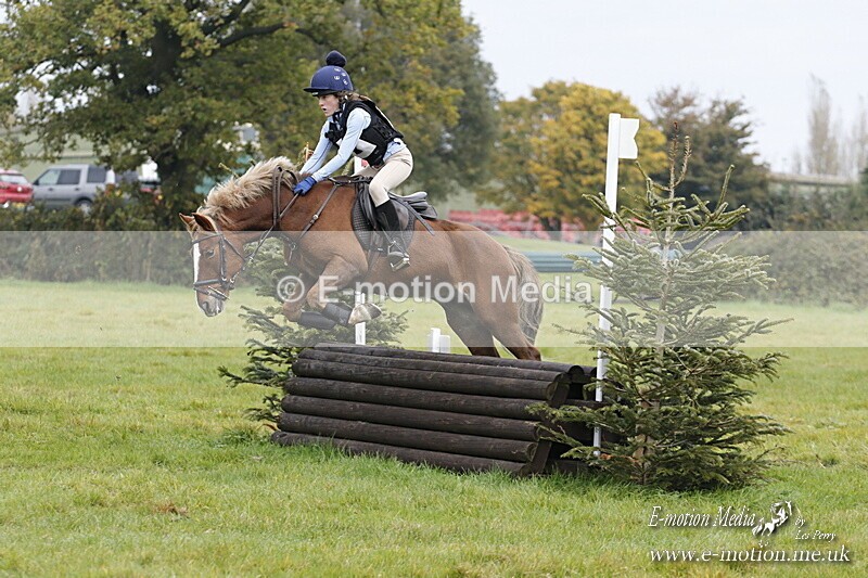 WWHT 181020 WWHT 181020 627 - WWEC Open Novice (0.80m) 18/10/20