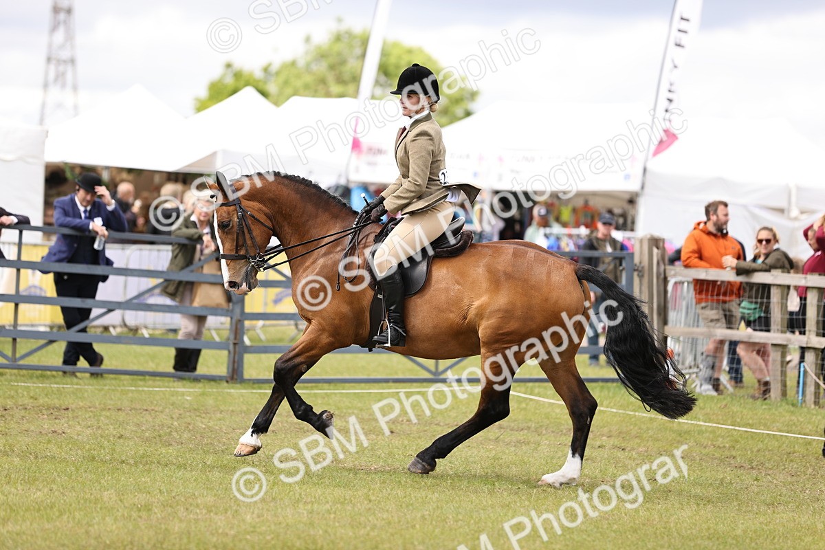 SBM_14570 - Class 88-89 - LIHS BSHA Rising Star of Ridden Hunter Type