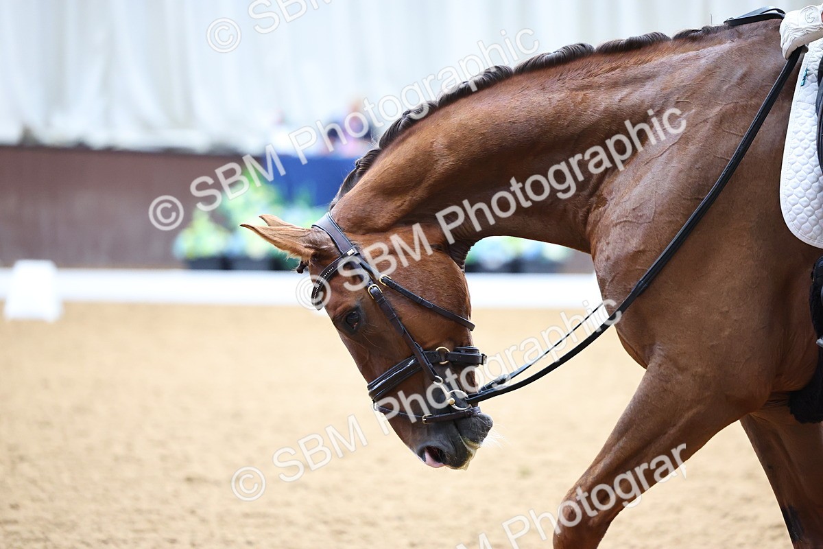 SBM_005704 - Class 5 - Novice 6 - 9.30-10.33