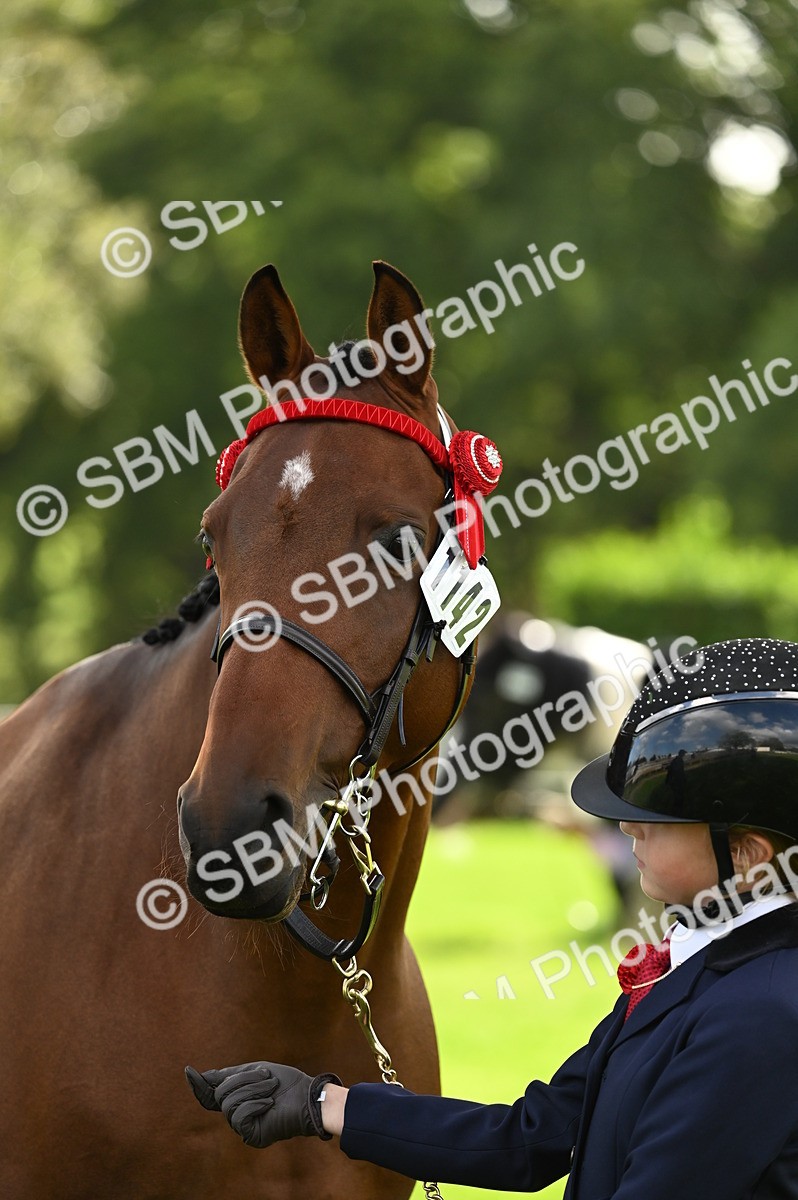 SBM_25030 - S5 - Novice & Newcomer In hand