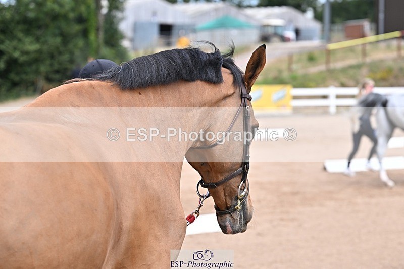 250716-130311-00290 - Trot Up 12.30 to 1.30