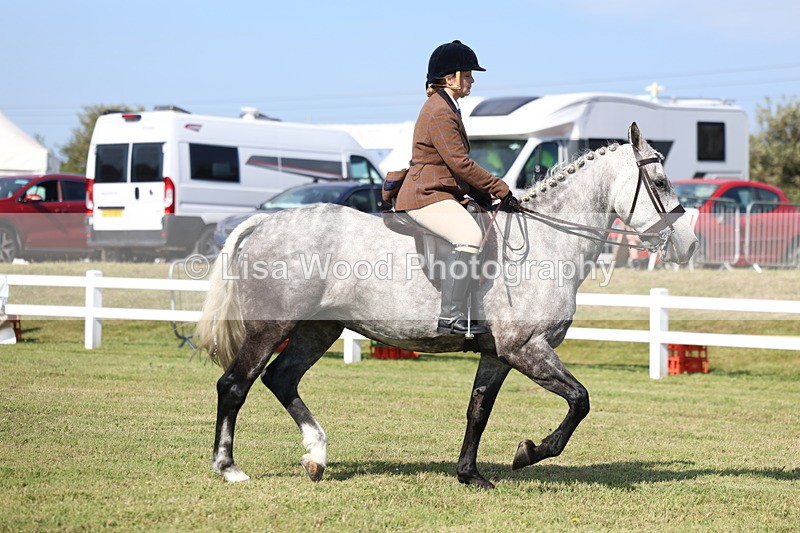 3E7A6002 - Class 3: Rising Star S/L Hunter