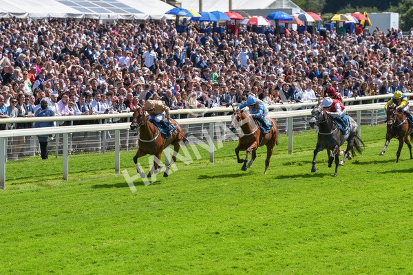 150723-Race 2-Nymphadora-8601 - Race 2 2.35pm John Smith's City Walls Stakes