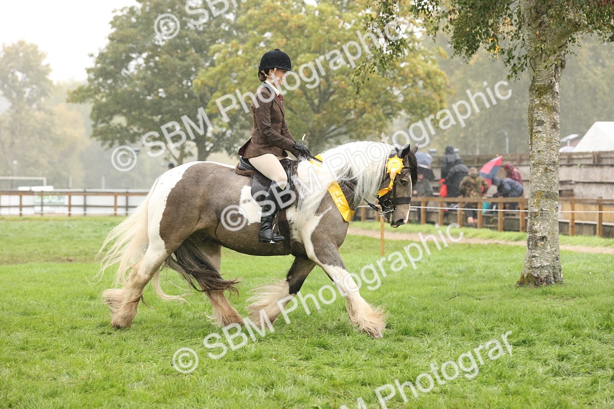 SBM_72891 - Ridden Horse Supreme Championship