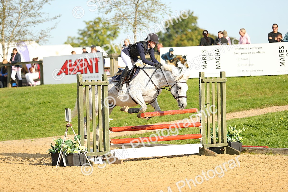 SBM_60237 - J41 - Grand Tour 95cm Championship