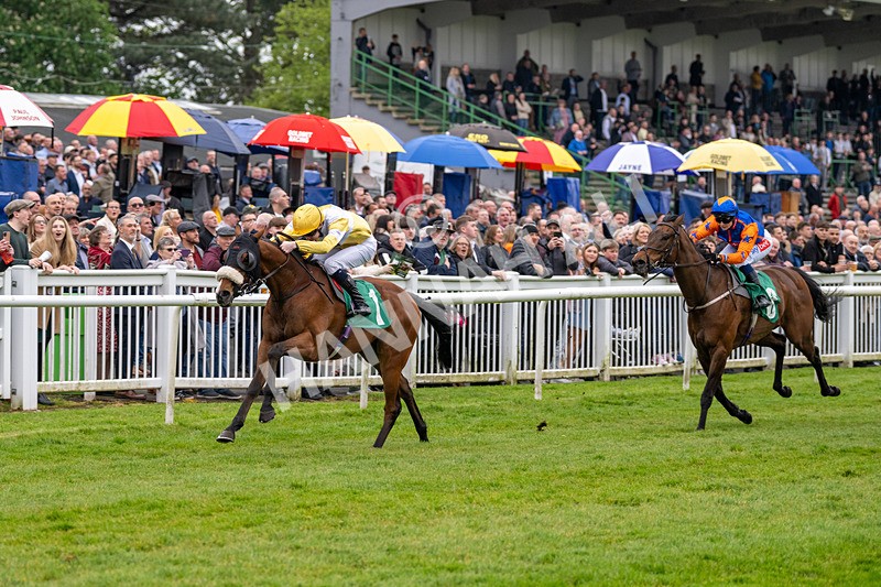 040524-Race 2-Wobwobwob-4078 - Race 2