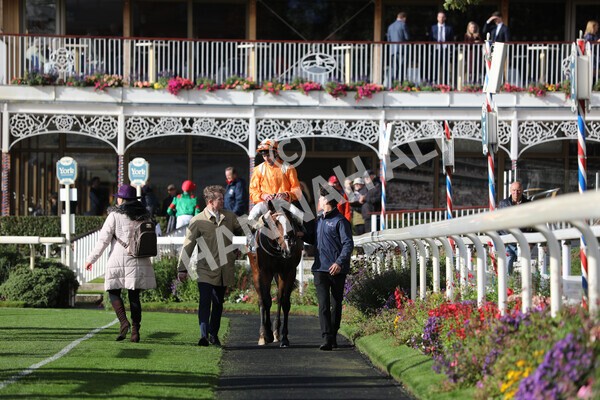 yr07102022r3-36 - Race 3 3.15pm British EBF £100,000 2yo Series Final (Colts and Geldings)