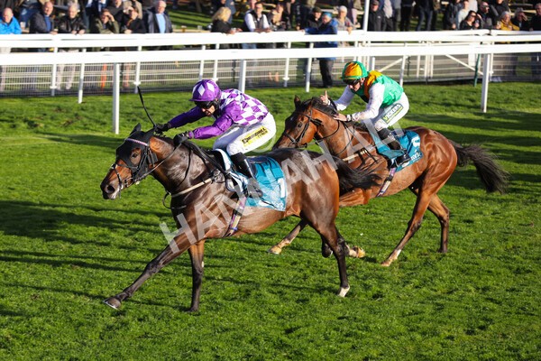 yr07102022r6-23 - Race 6 5.00pm William Hill Lengthen Your Odds EBF Novice Stakes