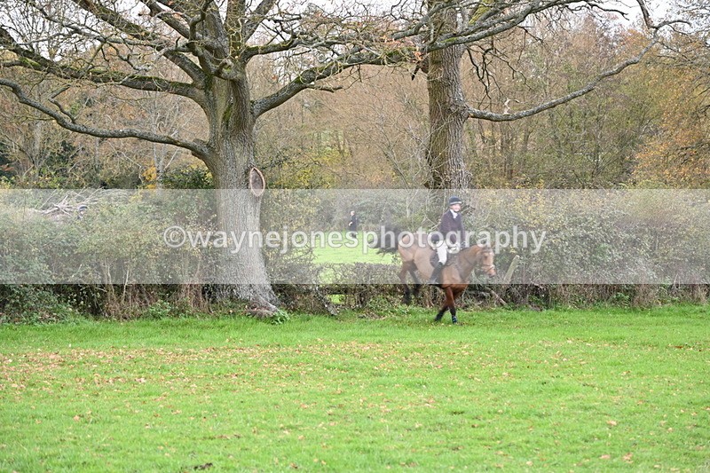WJ6_1489 - Camera 1