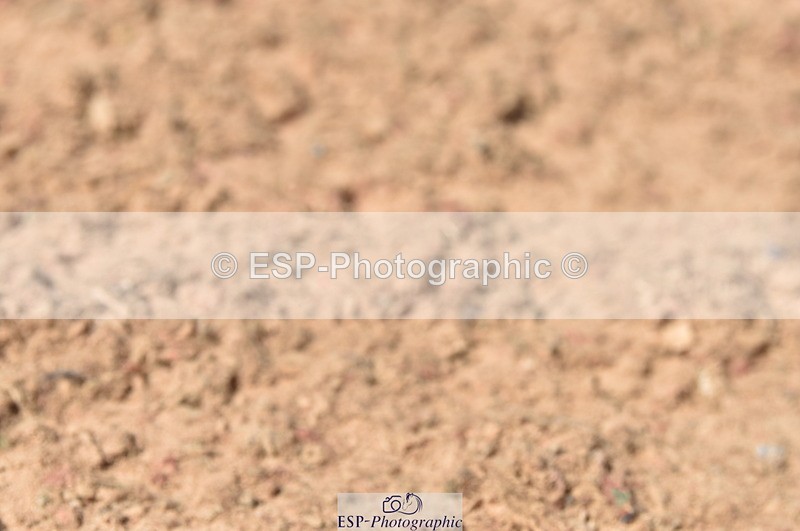 230810A-112620-00869 - Cls 9 Foxhunter