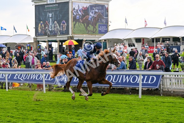 160524-Race 4-Economics-5985 - Race 4 3.45pm Al Basti Equiworld Dubai Dante Stakes