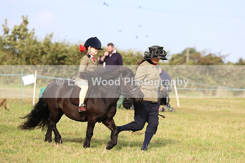 3E7A3688 - Class 2: Lead rein