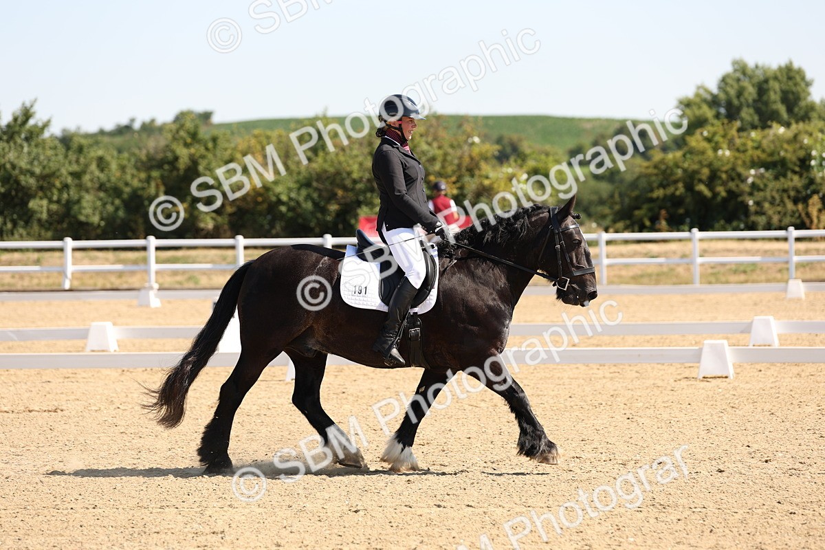 SBM_001047 - Intro 2