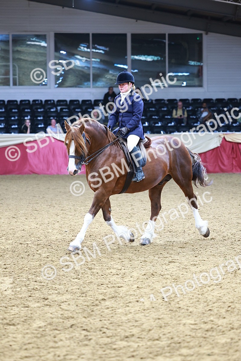 SBM_23408 - class 906 - Supreme Final - Ridden Pre Vet