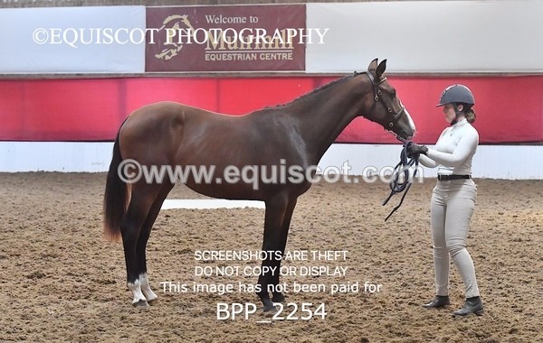 BPP_2254 - AFTERNOON 12.30 - 3.30PM