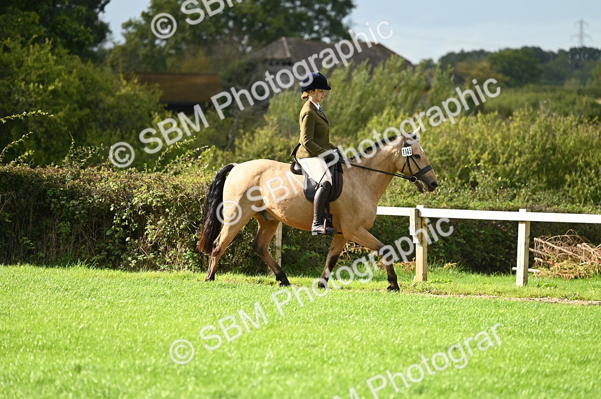 SBM_26317 - S6 - Novice & newcomer Ridden horse