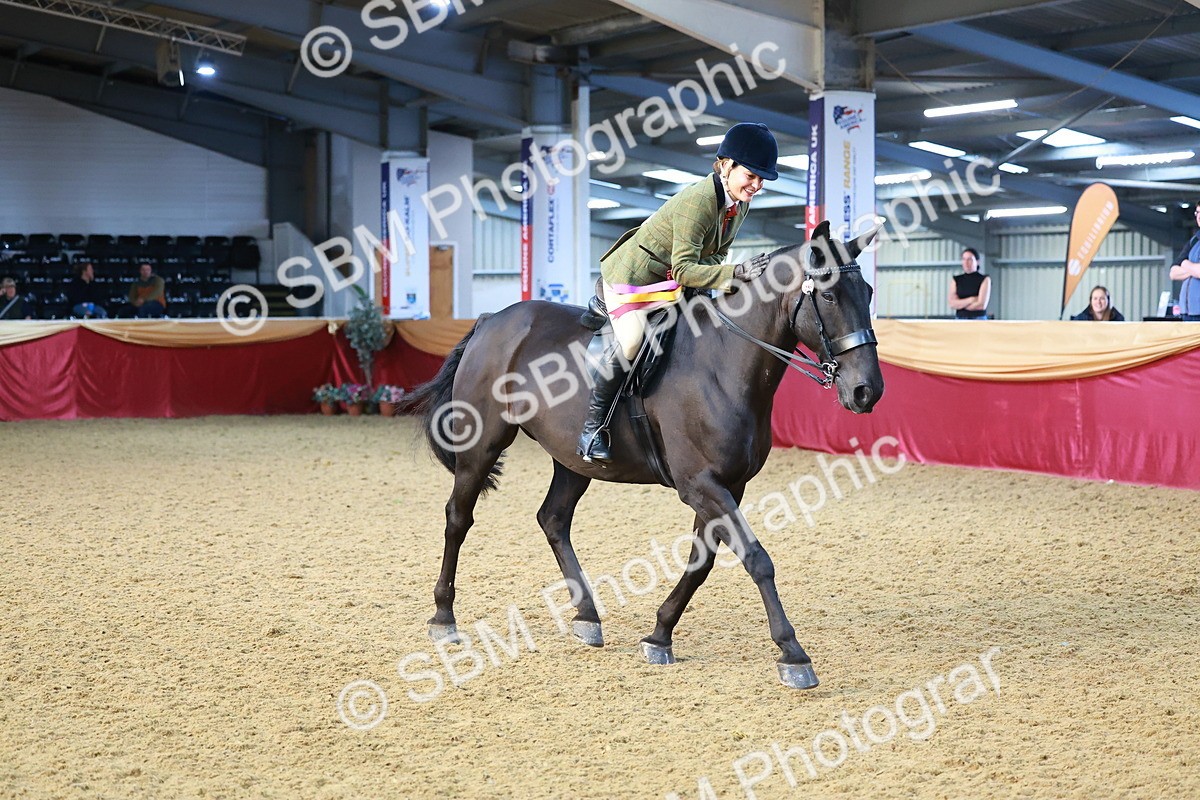 SBM_07769 - Class 101 - HOYS Veteran Qualifier - Ridden Diamond