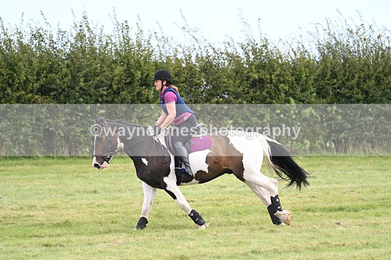 WJ7_6619 - Time 12:00 to 12:17