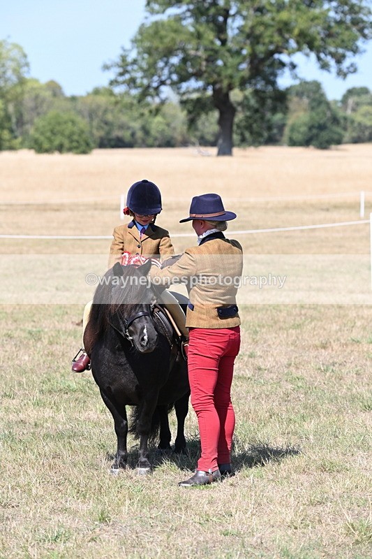 WJ6_9266 - Championship Classes 33-38