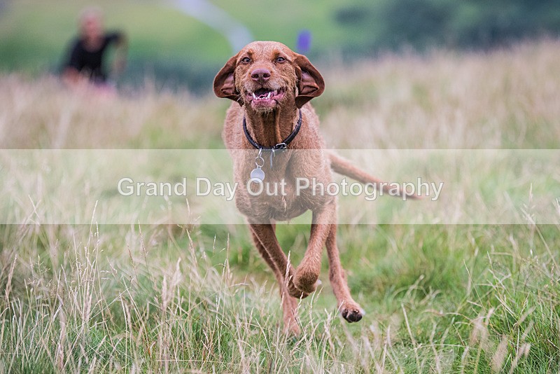 Steel Fell-11 - Steel Fell Race Wednesday 9th August 2023