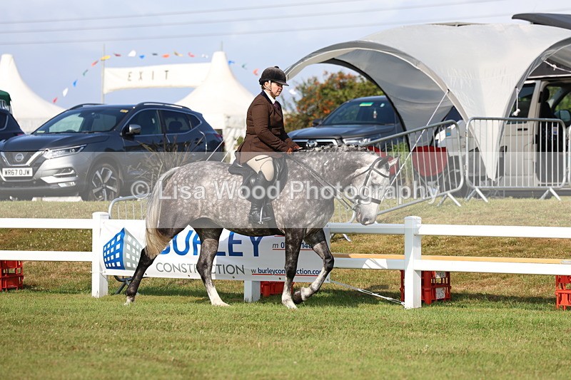 3E7A8457 - Class 3: Rising Star S/L Hunter