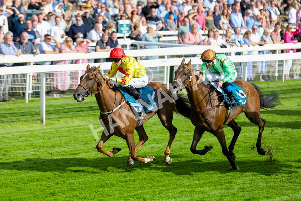 280723-Race 2-Quest For Fun-2736 - Race 2 5.30pm eventmasters.co.uk Handicap