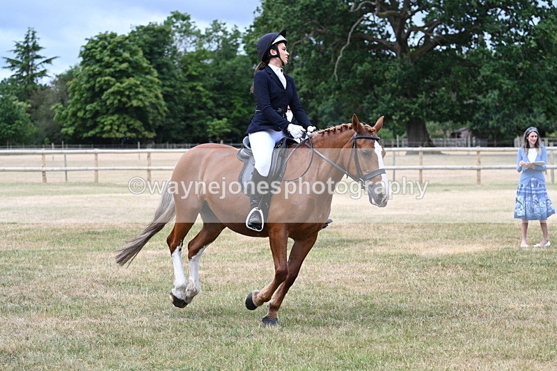 WJ7_0554 - Class 2 Best rider