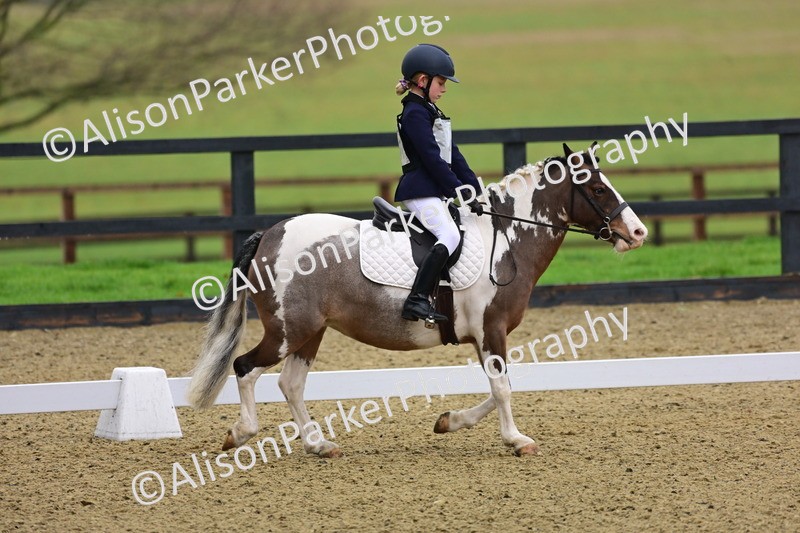 20260125-0634 - Class 9b - Walk Trot Unassisted