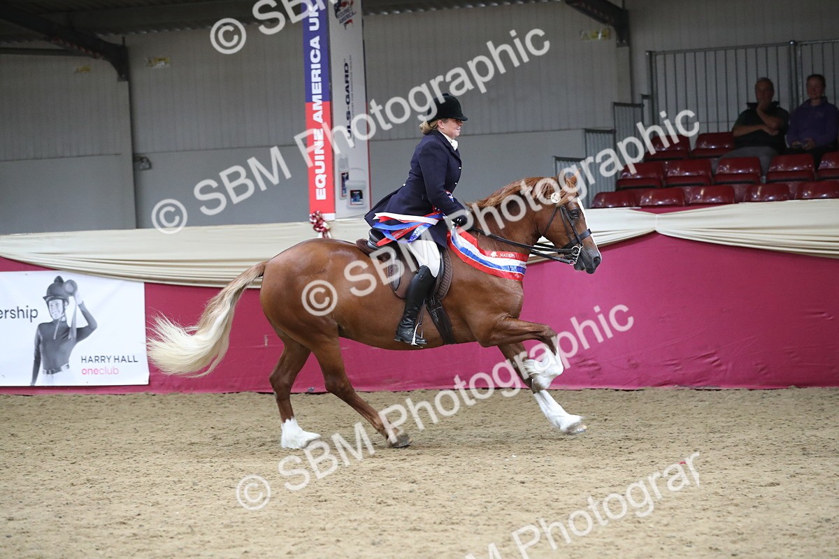 SBM_17238 - M&M Supreme Final Champ