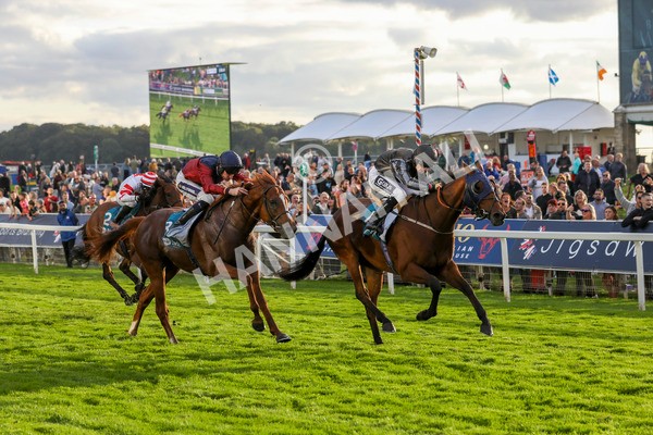 230923-Race 7-Two Brothers-5493 - Race 7 5.30pm Neil Atkinson's 60th Birthday Celebration Handicap