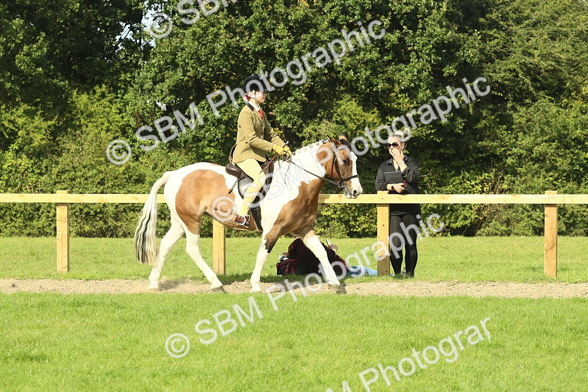 SBM_67396 - S56 - Coloured Pony Ridden