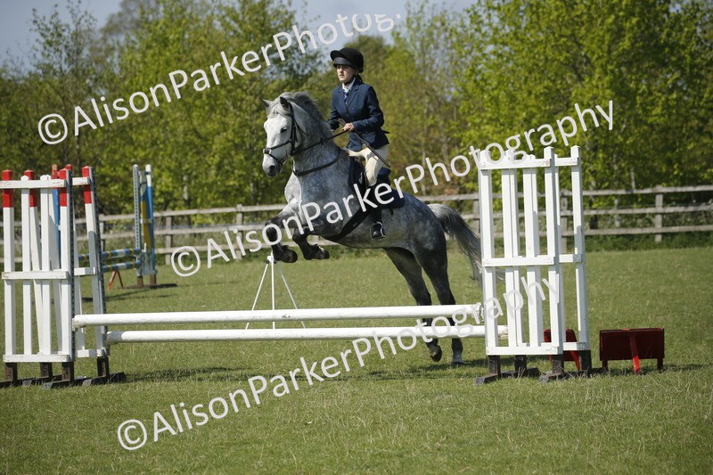 20250427-2241 - Class 13 - Novice Jumping 60cm