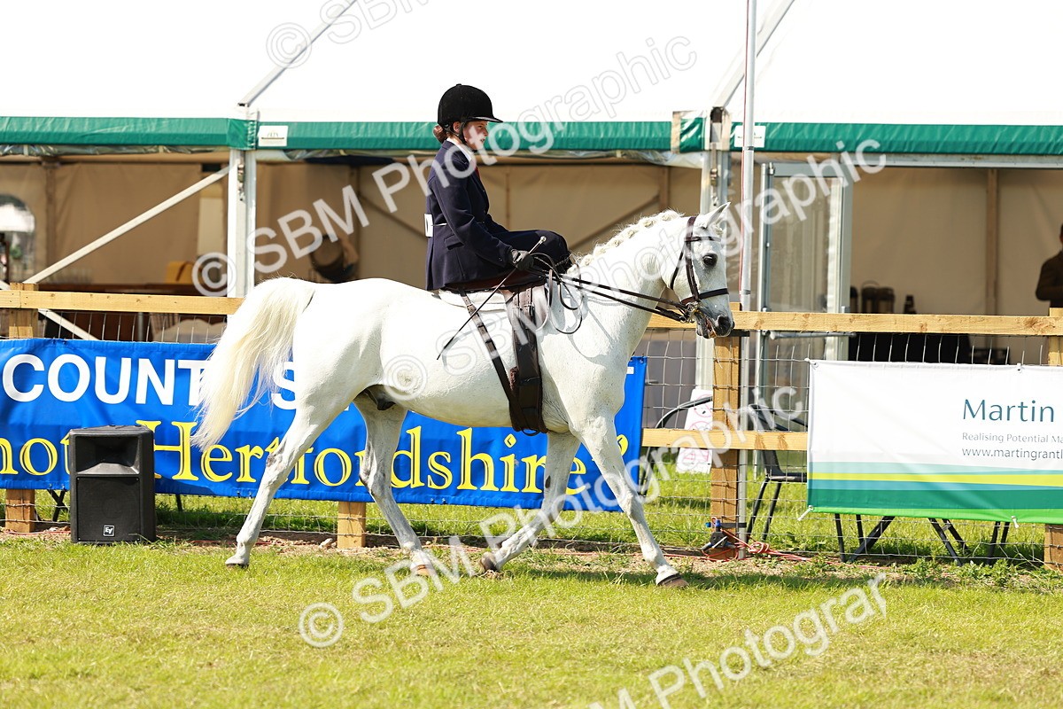 SBM_13125 - Class 70-71 - Side Saddle